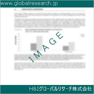 グローバルリサーチ調査資料のイメージ